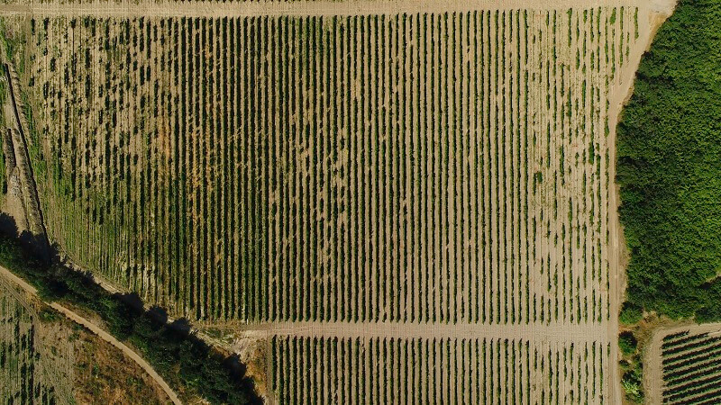 Michigan: Affordable Land with Diverse Uses