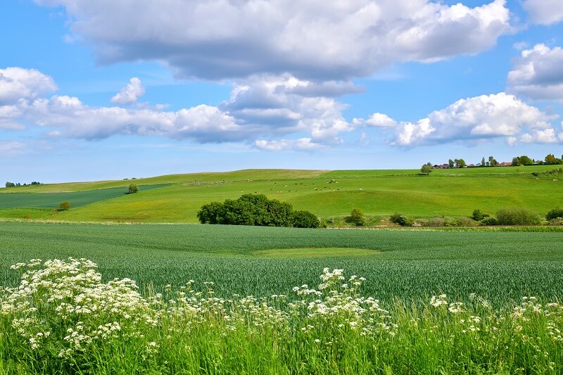 Factors to Consider When Choosing the Best State to Buy Land