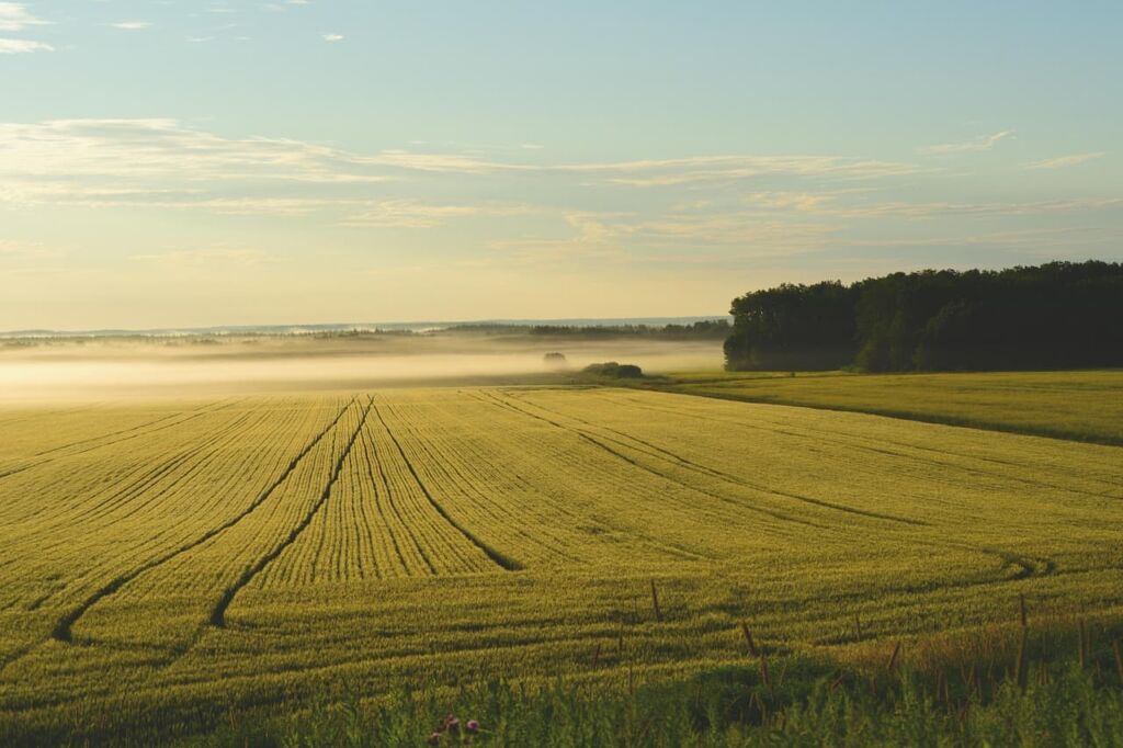 Effective Marketing Strategies for Land Investing