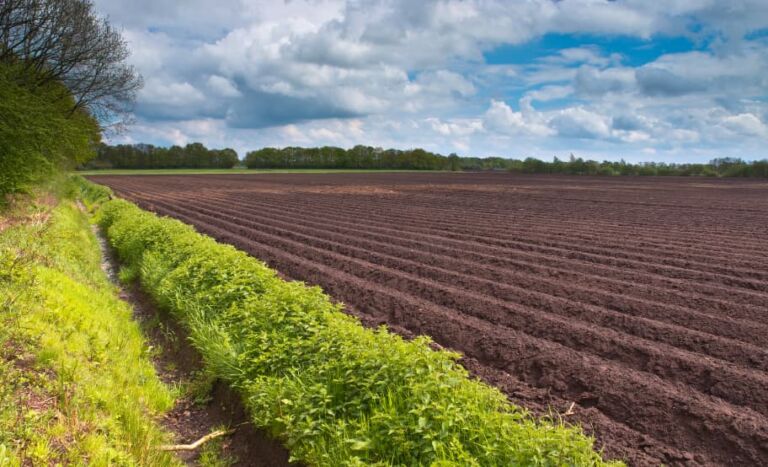 Tax Advantage Acres